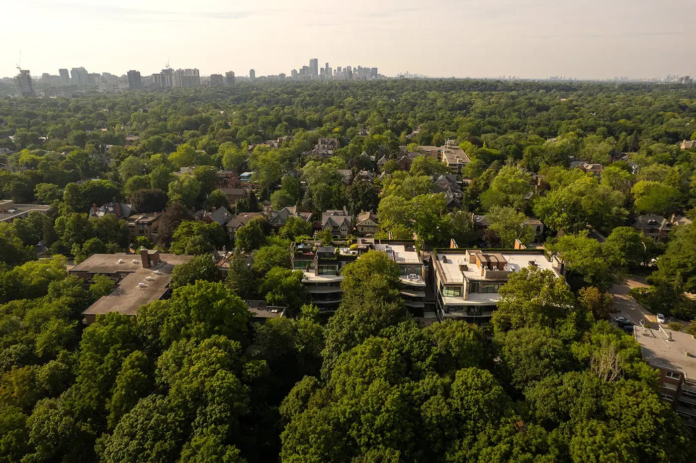 The ravine is the moat — Rosedale sits apart from the city, five minutes from the middle of it.