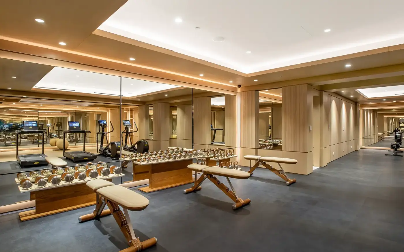 The wellness suite