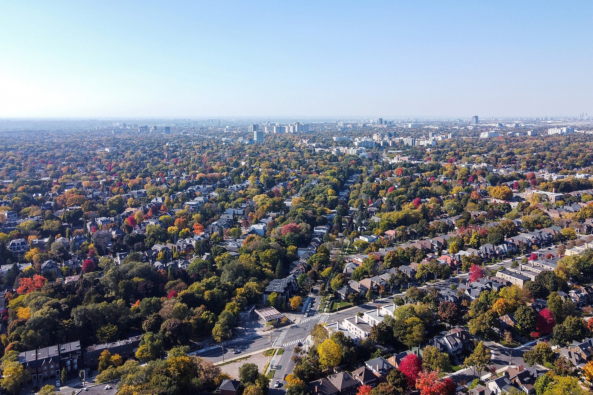 Forest Hill South from the air in autumn, the neighbourhood’s tree canopy in full colour.